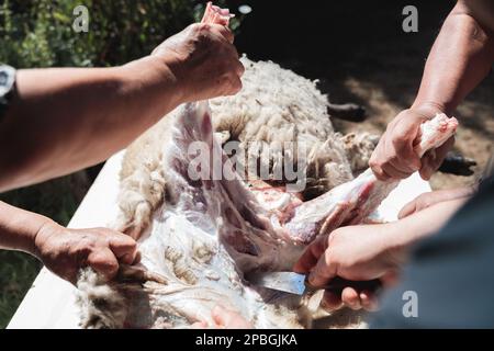 Un homme hispanique méconnaissable butchaering et skinning un mouton sur une table dans sa maison de campagne. Traditions patagoniennes Banque D'Images