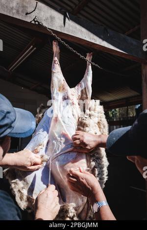 Des hommes latins indigènes qui butcheraient et brochent un agneau suspendu dans sa maison de campagne. Traditions patagoniennes Banque D'Images