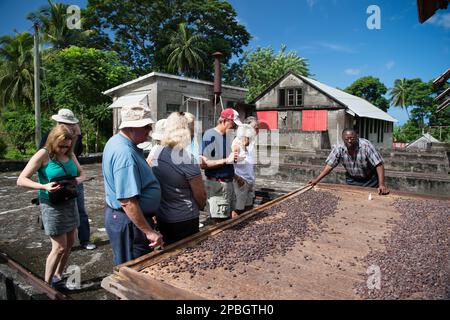 St. George, Grenade - 27 novembre 2015: Les gens au marché du cacao. Banque D'Images