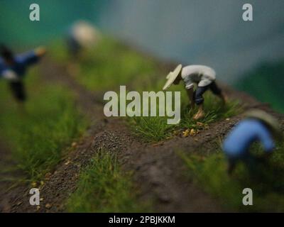 un gros plan de figurines miniatures de fermiers plantant du riz. Concept de photo agricole. Banque D'Images