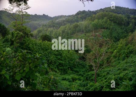 Magnifique paysage dans les montagnes. Région vallonnée du Bangladesh. Le ciel du matin, des montagnes vertes magiques couvertes de brume matinale. Photo prise de Meg Banque D'Images