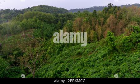 Magnifique paysage dans les montagnes. Région vallonnée du Bangladesh. Le ciel du matin, des montagnes vertes magiques couvertes de brume matinale. Photo prise de Meg Banque D'Images