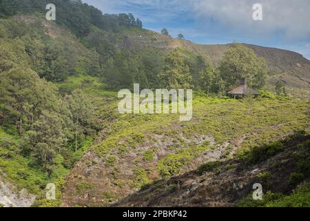 Vue panoramique sur le paysage arboré près du volcan Mont Kelimutu à Ende sur Flores. Banque D'Images