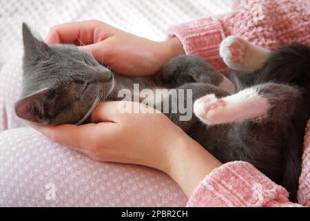 Fille dans un pantalon rose qui a été un petit chat gris allongé sur ses genoux. Jeune femme portant un chandail assis à la maison et pétriant félin. Kitten femme d'accident vasculaire cérébral wi Banque D'Images