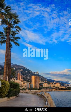 Vue sur la côte de Monaco et les immeubles résidentiels de luxe le long de la mer Méditerranée dans la Principauté de Monte Carlo Banque D'Images