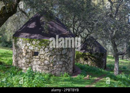 Chozos, bergers traditionnels. Paysage des montagnes Alor, Olivenza, Badajoz, Extremadura, Espagne Banque D'Images