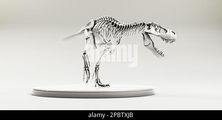 tyrannosaurus rex isolé sur fond blanc 3d illustration Banque D'Images