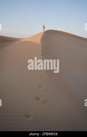 Photo verticale spectaculaire avec une femme marchant dans le sable dînez dans le désert. Banque D'Images