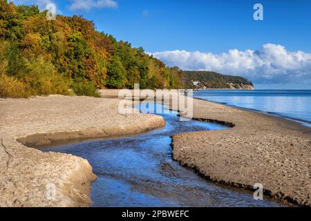 Paysage avec plage à la mer Baltique, ruisseau Swelina et forêt d'automne, paysage côtier pittoresque à Gdynia, Pologne. Banque D'Images