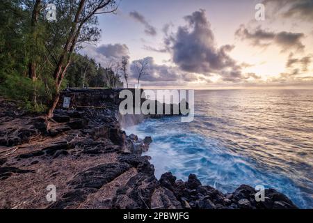 littoral, lave et zones de végétation sur la grande île d'hawaï Banque D'Images