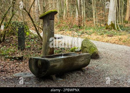 Fontaine d'eau publique en bois sculptée dans la forêt. Flux d'eau constant du robinet en métal, pas de personne. Banque D'Images