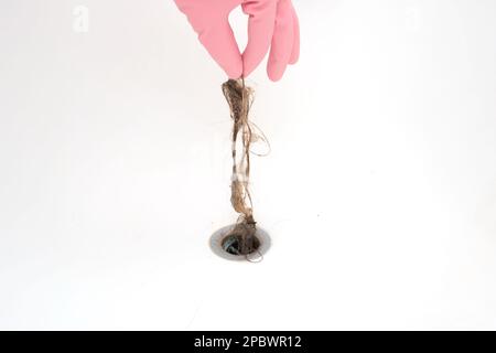 La souche de cheveux mouillés étant enlevée d'une cavité de baignoire par la main mâle dans un gant en latex rose. Gros plan, vue avant. Banque D'Images