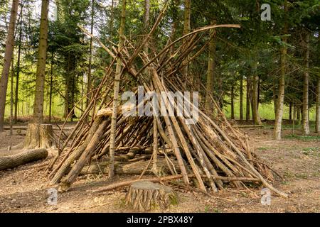 L'homme a fait une tipi ou une hutte de bâton de bois dans une forêt. Gros plan, grand angle, jour, ensoleillé, personne. Banque D'Images
