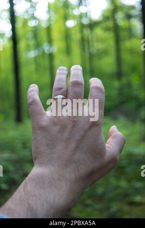Ouverture de la main mâle caucasienne avec un anneau de mariage atteignant le geste. Fond vert flou, faible profondeur de champ ou bokeh. Banque D'Images