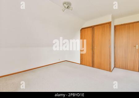 Décoration intérieure de chambre spacieuse avec portes en bois et murs blancs avec moquette grise et plafonnier avec armoire intégrée Banque D'Images