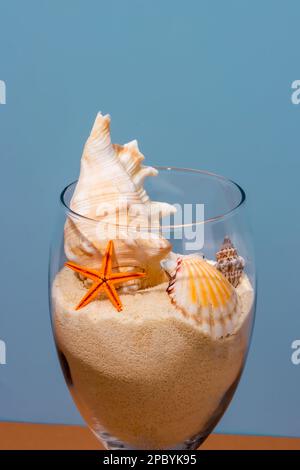 Lunettes de vin transparentes remplies de sable meuble et décorées de coquillages de tailles et de formes diverses près de l'étoile de mer placée sur fond bleu Banque D'Images