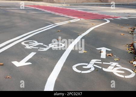 Piste cyclable à deux voies avec panneaux blancs sur l'asphalte Banque D'Images