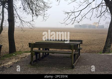 Banc et table sous les arbres par un champ de culture lors d'une journée brumeuse dans la campagne italienne Banque D'Images