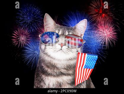 4th juillet - jour de l'indépendance des États-Unis. Chat mignon avec lunettes de soleil et drapeau américain sur fond sombre avec feux d'artifice Banque D'Images