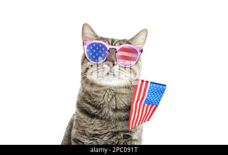 4th juillet - jour de l'indépendance des États-Unis. Chat mignon avec lunettes de soleil et drapeau américain sur fond blanc Banque D'Images