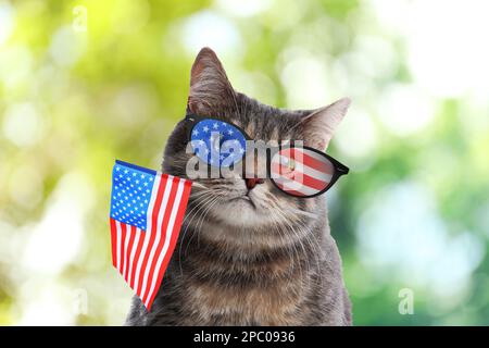 4th juillet - jour de l'indépendance des États-Unis. Chat mignon avec lunettes de soleil et drapeau américain sur fond vert flou, effet bokeh Banque D'Images