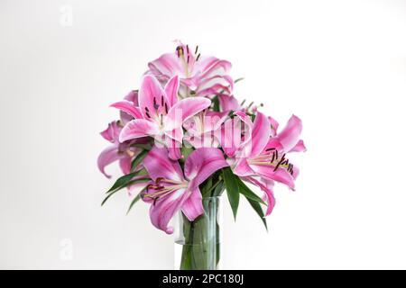Bouquet de lys orientaux roses dans un vase. Gros plan en studio, pas de personne. Banque D'Images