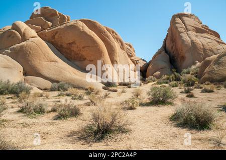 Joshua Tree National Park, Californie Banque D'Images