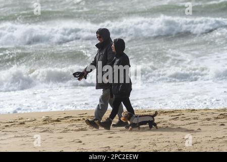 Boscombe, Bournemouth, Dorset, Royaume-Uni, 13th mars 2023, Météo. Vents violents et tempête sur le front de mer le matin. Couple sur la plage marchant avec un chien. Crédit : Paul Biggins/Alamy Live News Banque D'Images