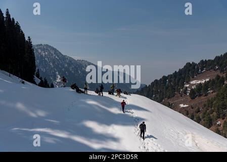 Les randonneurs sont vus en route à travers une montagne enneigée pendant une journée ensoleillée à Bubjen à une altitude de 2985 m dans les montagnes de l'Himalaya. La chaîne de Zabarwan est une courte chaîne de sous-montagne entre PIR Panjal et la Grande chaîne himalayenne dans la partie centrale de la vallée du Cachemire. Le sommet le plus élevé de la chaîne de montagnes de Zabarwan est le pic de Mahadev à 13 013 pieds (3 966 m). La chaîne de Zabarwan possède des roches cristallines telles que le granit, les schistes et les phyllites avec de la pierre à chaux intégrée, qui forment le cœur de sa gamme mère. De plus Zabarwan Mountain Range possède une grande chaîne de montagnes de l'Himalaya avec r Banque D'Images