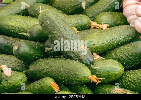 Concombres frais dans un fermier agricole en plein air ou marché de la nourriture de rue, la nourriture saine saisonnière. Concept biologique, bio produits, bio écologie, culture Banque D'Images