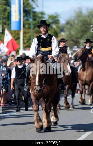 Quimper, France - 24 juillet 2022 : cavalier en robe traditionnelle bretonne à cheval sur un Postier breton pendant le festival de la Cornouaille. Banque D'Images