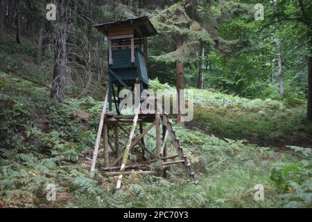 Forester se trouve au bord de la forêt, Förster Hoch sitz Banque D'Images