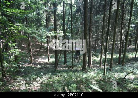 Forester se trouve au bord de la forêt, Förster Hoch sitz Banque D'Images