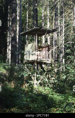 Forester se trouve au bord de la forêt, Förster Hoch sitz Banque D'Images