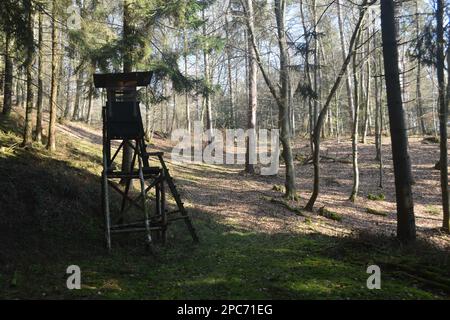 Forester se trouve au bord de la forêt, Förster Hoch sitz Banque D'Images