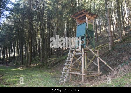 Forester se trouve au bord de la forêt, Förster Hoch sitz Banque D'Images