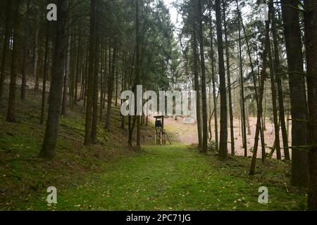 Forester se trouve au bord de la forêt, Förster Hoch sitz Banque D'Images