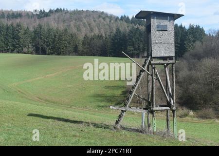 Forester se trouve au bord de la forêt, Förster Hoch sitz Banque D'Images