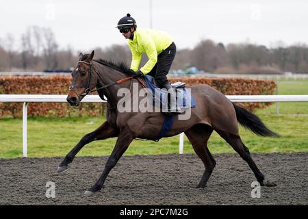 Photo du dossier datée du 28-02-2023 de Jockey Nico de Boinville manèges Constitution Hill sur les galops. Constitution Hill est tout prévu pour son moment de couronnement quand il s'aligne dans l'obstacle du Champion Unibet le premier jour du Cheltenham Festival. Date de publication : lundi 13 mars 2023. Banque D'Images