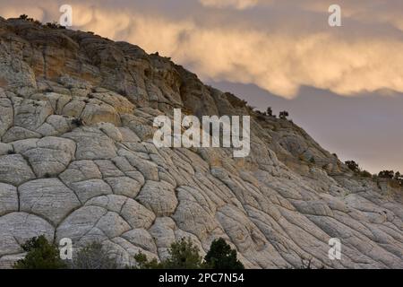 Roche de grès Navajo (dunes de sable fossilisées) au coucher du soleil, près de Boulder, Grand Staircase-Escalante National Monument, Utah Banque D'Images