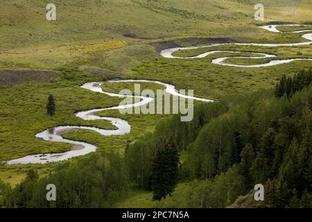 Vue sur les méandres de la rivière, East River, Grand Mesa, forêt nationale d'Uncompahgre Gunnison, Crested Butte, montagnes Rocheuses, Colorado (U.) S. A. Banque D'Images