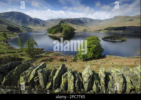 Vue sur le mur de pierre sèche à Highland Reservoir, Haweswater Reservoir, Mardale Valley, Lake District, Cumbria, Angleterre, Royaume-Uni Banque D'Images