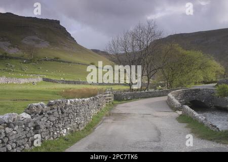 Vue sur la vallée à flancs escarpés, les murs en pierre sèche, le pont en pierre, les arbres et l'avenue, la cicatrice Gordale, Malhamdale, Yorkshire Dales N. P. North Yorkshire Banque D'Images