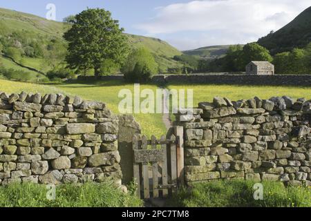 Portail en bois dans mur en pierre sèche, avec panneau nourriture d'hiver pour le stock, veuillez garder la ligne, menant à la voie à travers la prairie de fleurs sauvages, Muker, Swaledale Banque D'Images