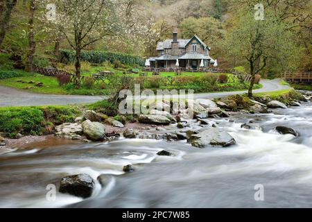 Watersmet House and Tea Room, situé au confluent de l'East Lyn River et de Hoar Oak Water, Barton Wood, Lynmouth, North Devon, Angleterre, Unissez-vous Banque D'Images