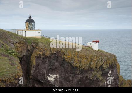 Vue sur le phare et le foghorn, St. Phare ABB's Head, St. Directeur d'ABB, Berwickshire, frontières écossaises, Écosse, Royaume-Uni, Europe Banque D'Images