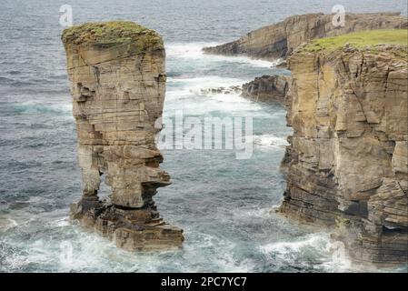Vue sur les falaises et la pile offshore, le château d'Yesnaby, Yesnaby, Mainland, Orkney, Écosse, Royaume-Uni, Europe Banque D'Images