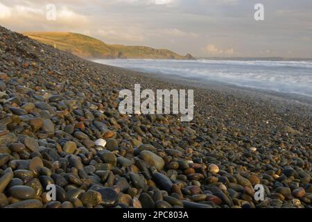 Vue sur la plage de galets, Broad Haven, baie de St Bride, Pembrokeshire, pays de Galles, Royaume-Uni, Europe Banque D'Images