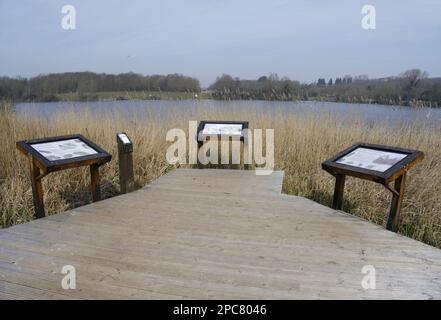 Promenade et panneaux d'information surplombant le lac dans une ancienne carrière de calcaire inondée, Cosmiston Lake Country Park, Vale of Glamorgan, Glamorgan, Banque D'Images