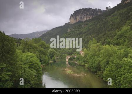 Vue sur les Gorges du Tarn avec la rivière Tarn et le pont en ruines de la Muse, près du Rozier, Lozère, France, Europe Banque D'Images